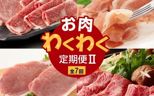 
【全7回】お肉わくわく定期便Ⅱ 027-37
