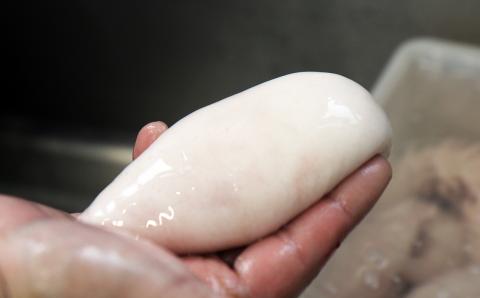 臼杵トラフグ刺しふぐ鍋セット（3人前）【白子付】［冷蔵］ふく亭別館・高島水産