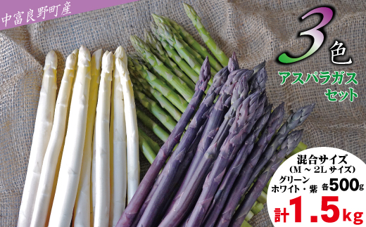 【2026年発送】【中富良野町産】3色アスパラガスセット（1.5kg）
