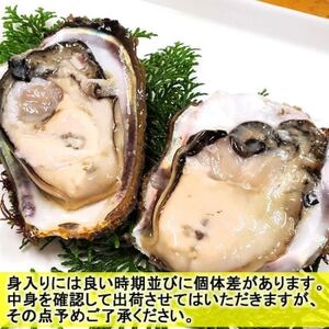 旬もの山陰の岩ガキ・サザエ詰合せ(大きさにより各4～7個入)　牡蠣は下処理してお届けします【配送不可地域：離島・北海道・沖縄県・東北・関東・九州】【1114072】