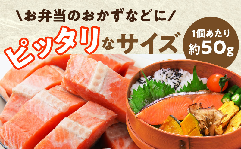 【定期便】銀鮭 切身 約50g×20切れ 全2回【2026年3月＆2026年6月発送 小分け 漁師 手切り 1kg さけ サケ 切り身 弁当 朝食 時短 訳あり サイズ不揃い 規格外 冷凍食品】 G3