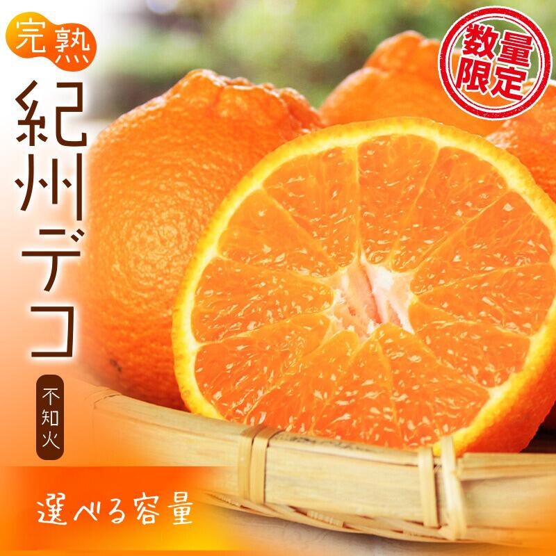 【ふるさと納税】果肉プリプリ♪ 完熟紀州デコ(不知火) 【選べる容量】 約3kg 約5kg ＜2026年2月下旬頃〜2026年3月中旬頃発送予定＞（お届け日指定不可）/ デコポン 不知火 みかん ミカン 柑橘 果物 フルーツ 果実 和歌山 人気 くだもの おすすめ 期間限定