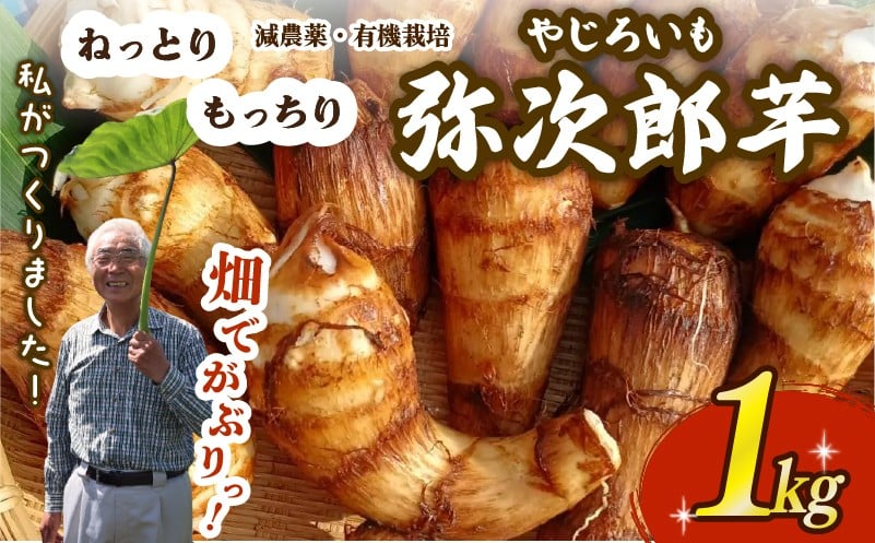 
            【先行予約】 里芋  土垂れ 弥次郎芋 もっちり 食感  餅 新鮮 採りたて 1kg  減農薬 有機栽培 希少 在来種 さといも やじろ いも 野菜 サトイモ 芋 イモ いも のっぺ 煮っころがし 特産品 つぐちゃん畑 新潟 新潟県 新発田産 新発田市 tsuguchan003_01
          