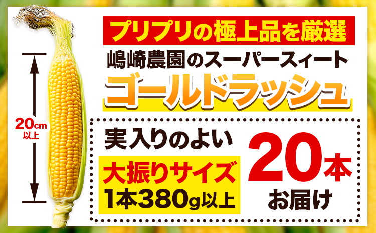 朝採りとうもろこし スーパースィート 「ゴールドラッシュ」 特大サイズ 20本(1本380g以上) Lサイズ 《8月中旬-9月中旬頃出荷》嶋崎農園 送料無料 北海道 本別町北海道 十勝 本別町産 スー