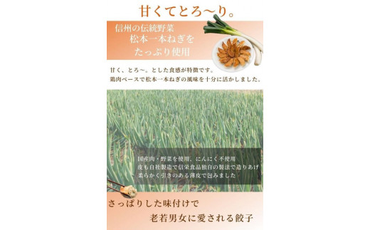 【定期便6回】【伝統野菜松本一本ねぎ使用】松本一本ねぎ餃子　20個入り×2 | 餃子 ギョーザ 国産 松本一本ねぎ ネギ 加工品 長野県 松本市 信州産 ふるさと納税