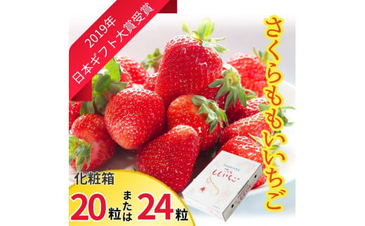 [№5852-0328]さくらももいちご(20粒または24粒入り化粧箱)　※2025年1月上旬頃から発送　※北海道・沖縄・離島への配送不可［佐那河内産 ブランドいちご ギフト大賞 ジューシー 高級 パック 化粧箱］