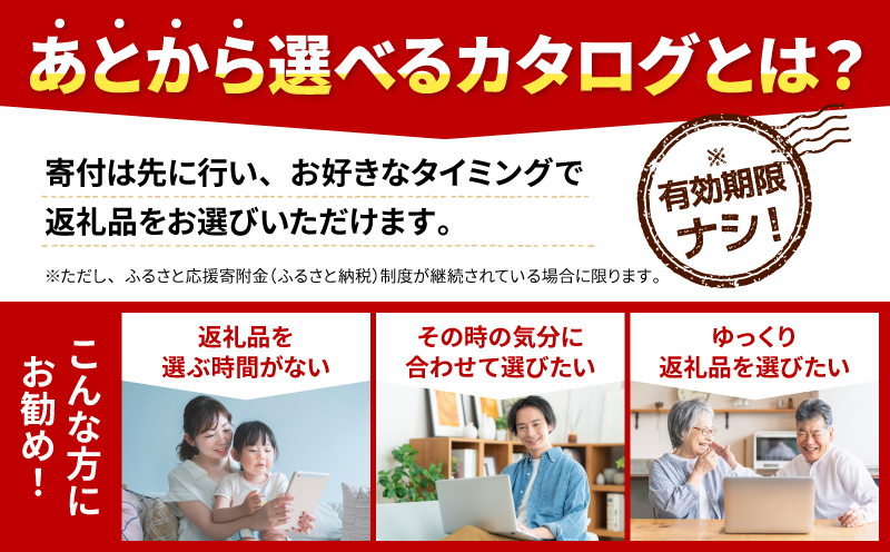 あとから選べる オンラインカタログ 450万円