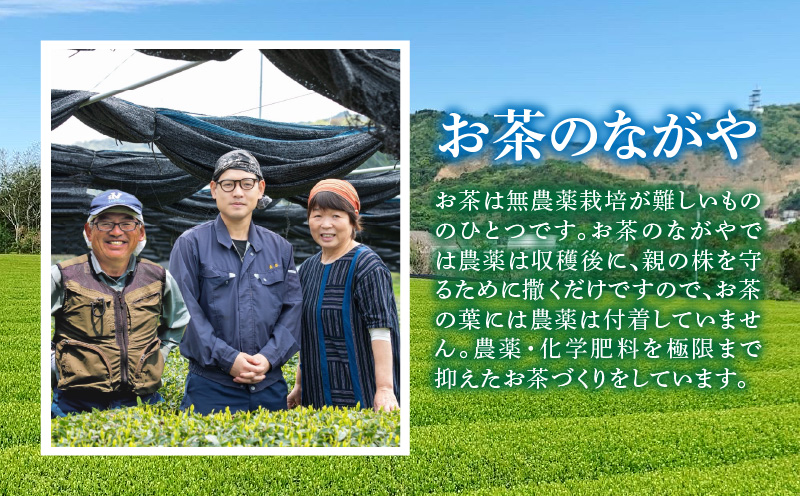 【吉良茶】1バッグで1ℓ以上！ほうじ茶ティーバッグ　10g×50個入　計500g・O056