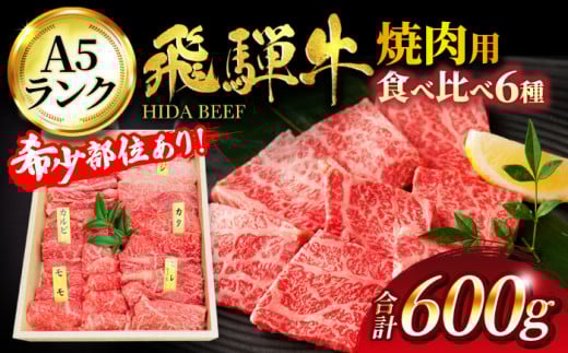 ＜厳選！じゅわっと柔らかい＞飛騨牛 A5ランク 焼肉用 6種食べ比べセット【有限会社マルゴー】 和牛 国産 焼肉 [MBE041]