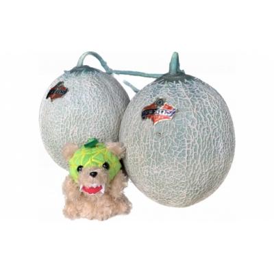 ふるさと納税 夕張市 【先行予約受付中】メロン熊くたくたストラップゴールドと夕張メロン優2玉(小玉)」W41 |  | 02