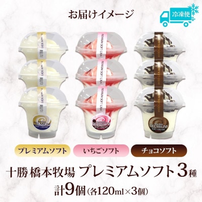 十勝橋本牧場 プレミアムソフト 全味食べ比べセット(3種×各3個)【配送不可地域：離島・沖縄県】【1675557】
