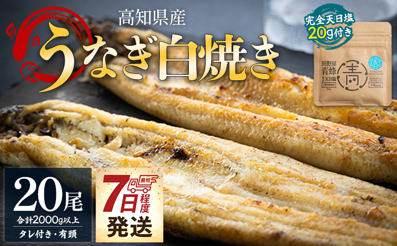 国産うなぎ 高知県産 白焼き 20尾(100～110g×20尾) 合計2kg以上 田野町完全天日塩 20g付き 黒箱 yw-0088