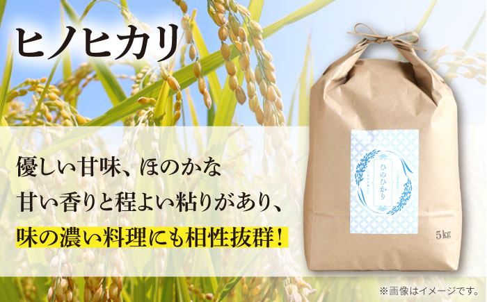 【南島原市産ヒノヒカリ】5kg×6回 定期便 / ひのひかり 米 お米 こめ コメ 精米 / 南島原市 / 林田米穀店 [SCO009]
