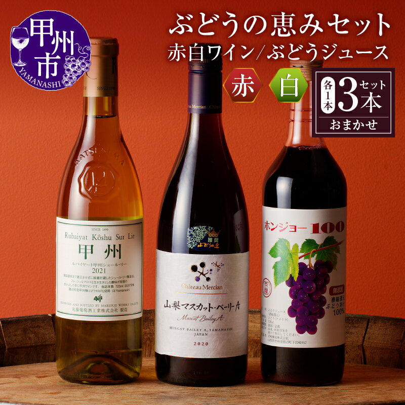 【ふるさと納税】 ワイン ぶどう ジュース 3本 セット 赤 白 赤ワイン 白ワイン 日本ワイン 果汁ジュース 勝沼 ぶどうの丘 推奨 厳選 飲み比べ 甲州ワイン 母の日 父の日 記念日 ギフト 山梨県 甲州市（KBO） 【C-653】
