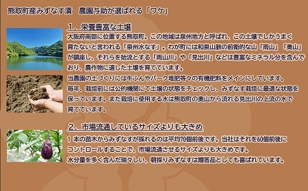 【お試し】みずなす漬け3個＋生みずなす3個セット