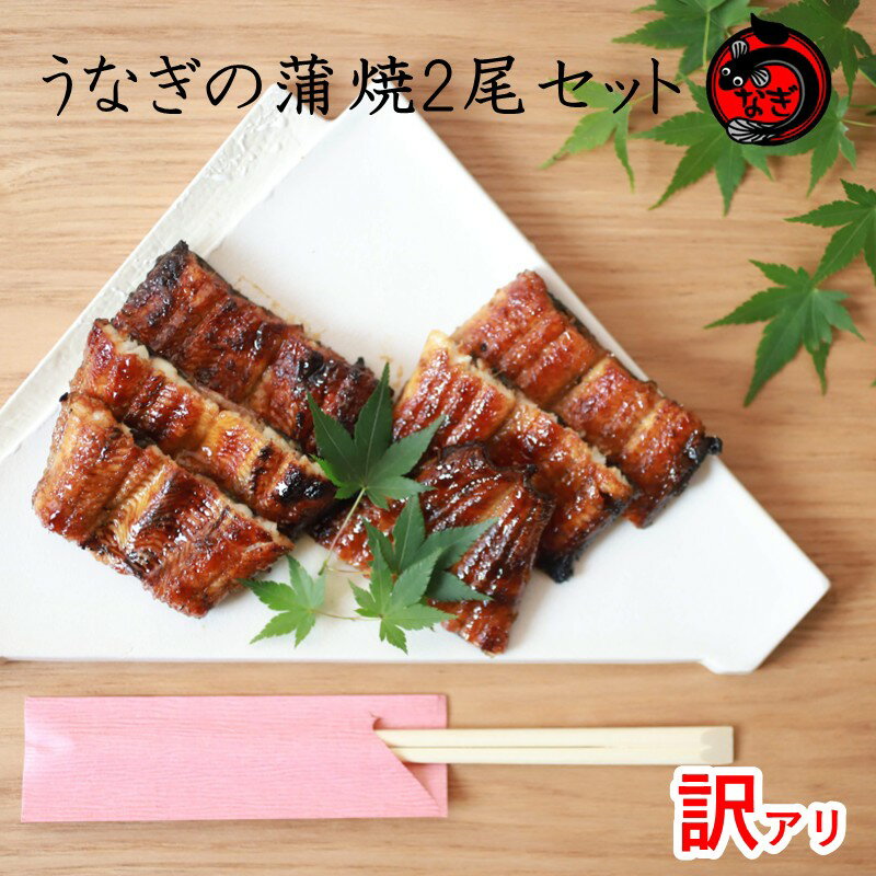【ふるさと納税】訳アリ！うなぎ蒲焼2尾セット【B-186】