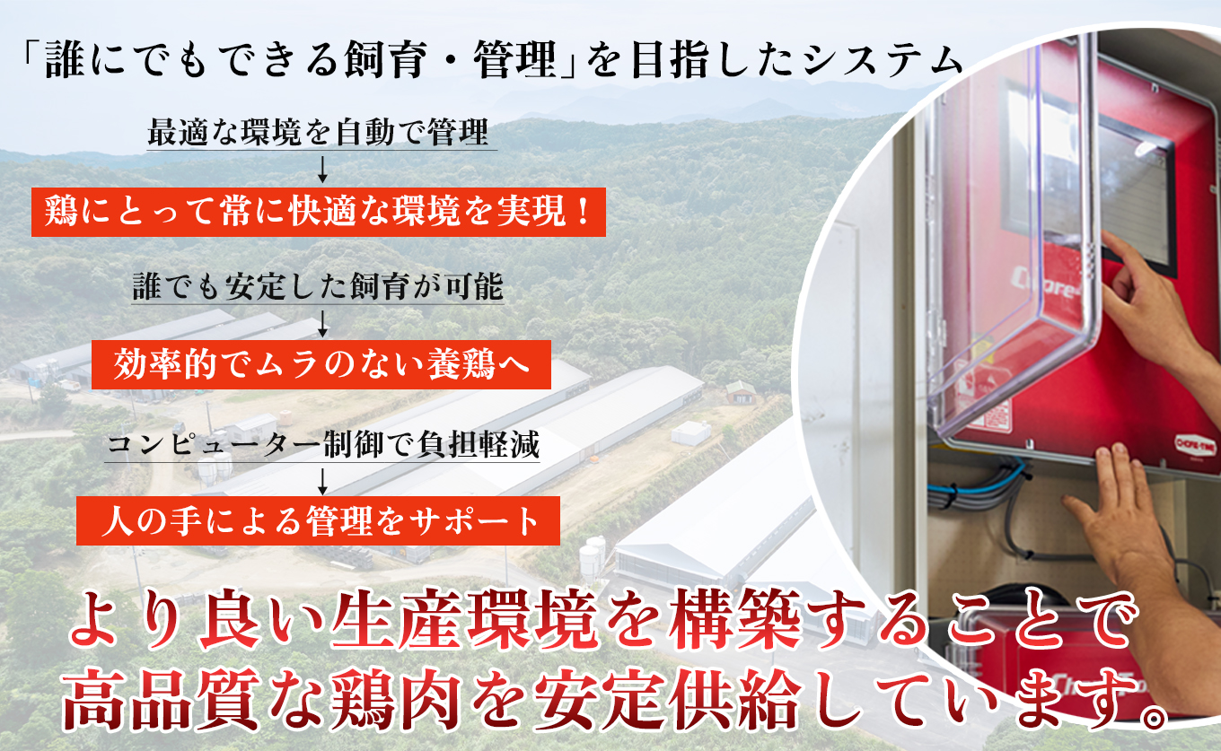 鶏肉 ささみ 1.1kg 定期便 6回 （1.1kg×6回） 鶏ささみ ササミ チキン 若鶏 ブランド鶏 最優秀賞 天皇杯 受賞 小分け 冷凍 骨なし お弁当 ササミフライ 梅しそ 筋トレ 高たんぱく