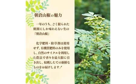 朝倉山椒 500g | 朝倉 山椒 さんしょう サンショウ 胡椒 調味料 スパイス 家庭用 自宅用 産地直送 5月 発送 国産 人気 送料無料 グルメ お取り寄せ 萩本農園 | 奈良県 五條市