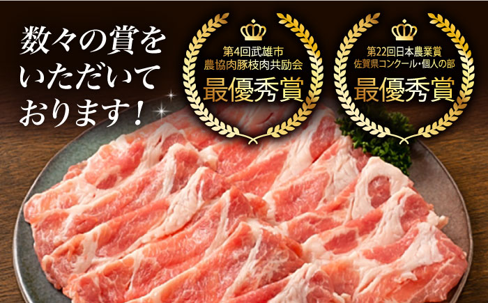 【肉汁たっぷり】若楠三元豚ハンバーグ ( 150g × 8個 )/ナチュラルフーズ [UBH050] 豚肉 豚 肉 ハンバーグ 加工品 冷凍 小分け 個包装