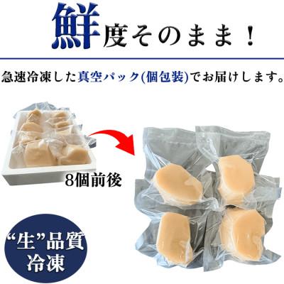 ふるさと納税 南知多町 【2025年 先行受付】 純国産 天然 平貝 中サイズ むき身 セット 約450g 岬だより |  | 03