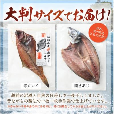 ふるさと納税 越前町 【訳あり】浜茹で 紅ずわいがに 2杯 & 大判干物「赤かれい・あじ」セット【3月発送分】 |  | 02