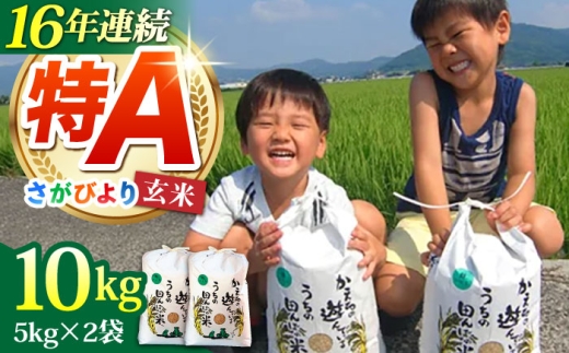 【先行予約】【2026年10月発送】令和8年産 さがびより 玄米 10kg ( 5kg×2袋 ) 【ひなたむらのお米】 [HAC003] 米 佐賀 佐賀県産 特A評価 特A米