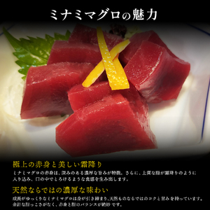 天然 ミナミマグロ 赤身 柵 刺身 焼津 海の極 計600g 200g×3 (a16-200)
