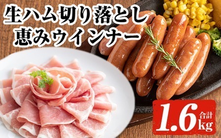 ＜2026年5月中に発送予定＞国産 豚 生ハム 切り落とし おつまみ 小分け 業務用 荒挽き 恵み ウインナー (合計1.6kg) 【ナンチク】A941-05