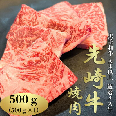 【ふるさと納税】【先崎牛】A4等級以上の希少な厳選メス牛◆ロース焼肉500g【配送不可地域：離島】【1630453】