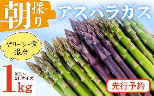 【先行予約5/31迄】【限定30】やまに農産「朝採りアスパラガス」1kg