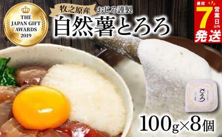 【7日以内発送】自然薯 とろろ 100 g × 8 パック とろろ 尾白弁当