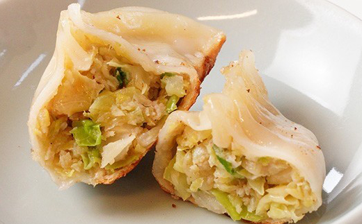 佐野ブランド認証品 らーめん大金の国産野菜がギュッと詰まった大ぶりの手作り冷凍餃子　12粒×2パック【配送不可地域：離島・沖縄県】