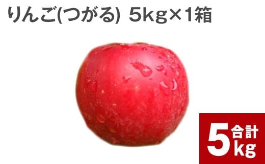 
										
										【令和6年産 先行受付】北海道深川市産 りんご(つがる) 5kg【2024年9月下旬より順次発送】林檎 リンゴ フルーツ デザート お取り寄せ
									