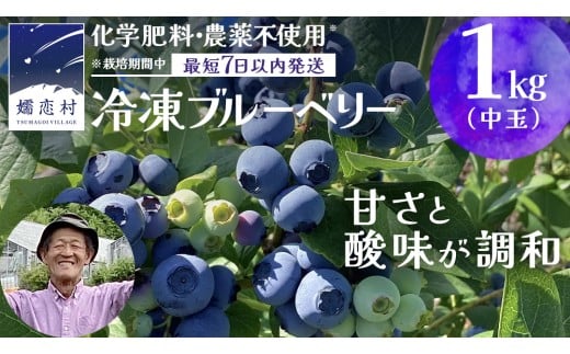 【 最短 7日以内 発送 】 冷凍 ブルーベリー 中玉 1kg   【 化学肥料 農薬 不使用 】 数量限定 中粒 国産 フルーツ スムージー 果物 くだもの 農家直送 スイーツ アイス ノーザンハイブッシュ系 ミックス [AT013tu]