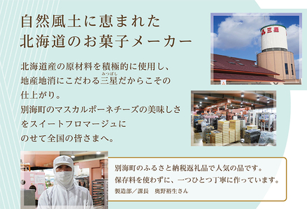 【毎月定期便】 二層のチーズケーキスイート・フロマージュ　12cm×1台×9ヵ月定期便 be051-0967-100-9　（ ケーキ チーズケーキ フロマージュ マスカルポーネ スィーツ 北海道 人気