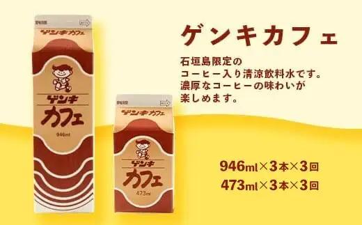 【定期便_3回】八重山ゲンキ乳業 全種バリューセット　GN-4_3t