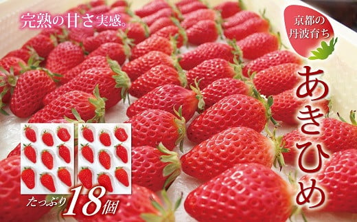 
【2025年1月以降発送予定】京都・丹波高原育ちのいちご「あきひめ」レギュラー 18個 （9個×2パック） 京丹波町産 完熟 いちご 甘さ抜群 京都誠志郎農園 ※北海道・東北・沖縄・その他離島は配送不可 [011KS001]
