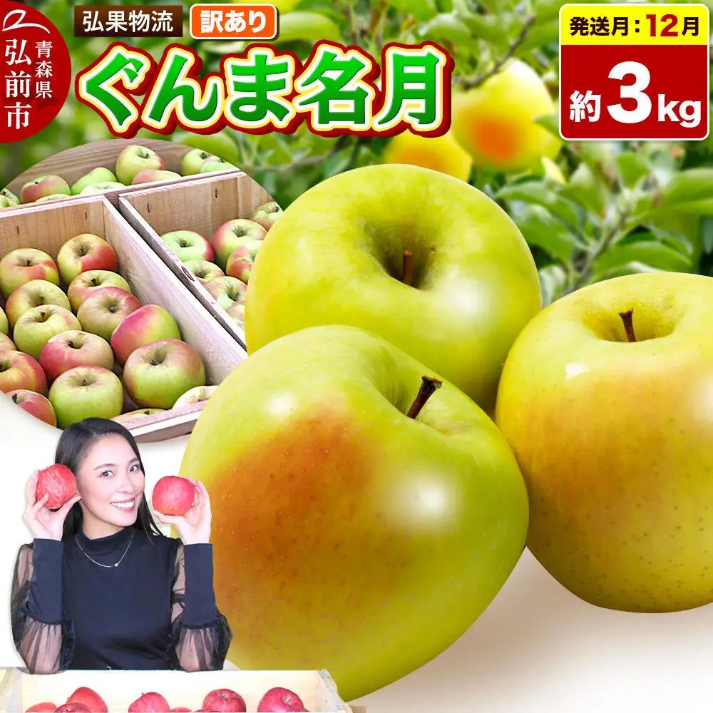 【26年12月発送】りんご ぐんま名月【訳あり】約3kg 先行受付 家庭用 青森県 弘前市 果物 フルーツ 林檎 リンゴ くだもの 不揃い 規格外
