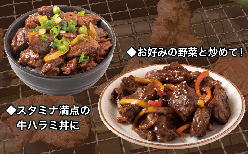 【満足ハラミ】オリジナルスパイス仕込み 合計2.5kg 【味付け ハラミ 小分け 焼くだけ 簡単調理 BBQ 牛肉 250g×10P】 099H3706_イメージ5