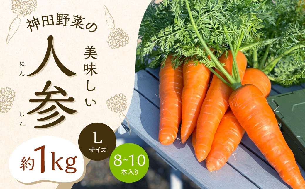 
                  神田野菜の美味しい人参 1kg （Lサイズ 8～10本）【2024年12月上旬から2025年3月下旬発送予定】 にんじん ニンジン 人参 野菜 やさい 国産
                