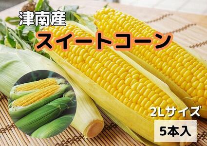 津南町産 朝取りスイートコーン 2lサイズ 5本入（1本約400g）