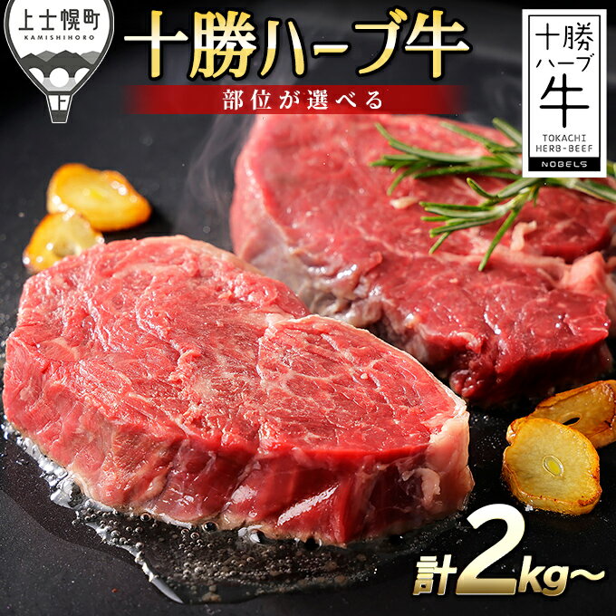 【ふるさと納税】十勝ハーブ牛 ブロック 2kg～ 北海道産 牛肉 赤身 ヒレ フィレ サーロイン キャンプ アウトドア BBQ 2タイプから選べる レビューキャンペーン対象品 ※オンライン申請対応
