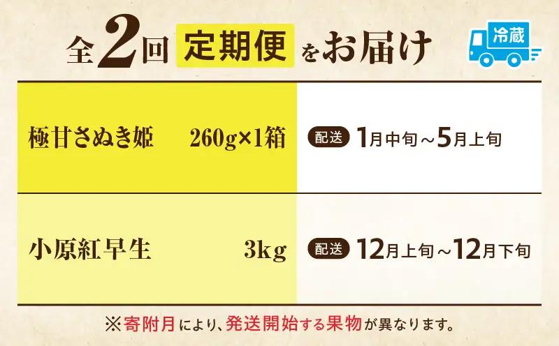 季節の恵み2回定期便D | 果物 定期便 果物定期便 フルーツ フルーツ定期便 定期 旬 旬の果物 旬のフルーツ 旬の定期便 いちご みかん 贈答 贈り物 ギフト 厳選 果実 青果物 果汁 ご褒美 デ