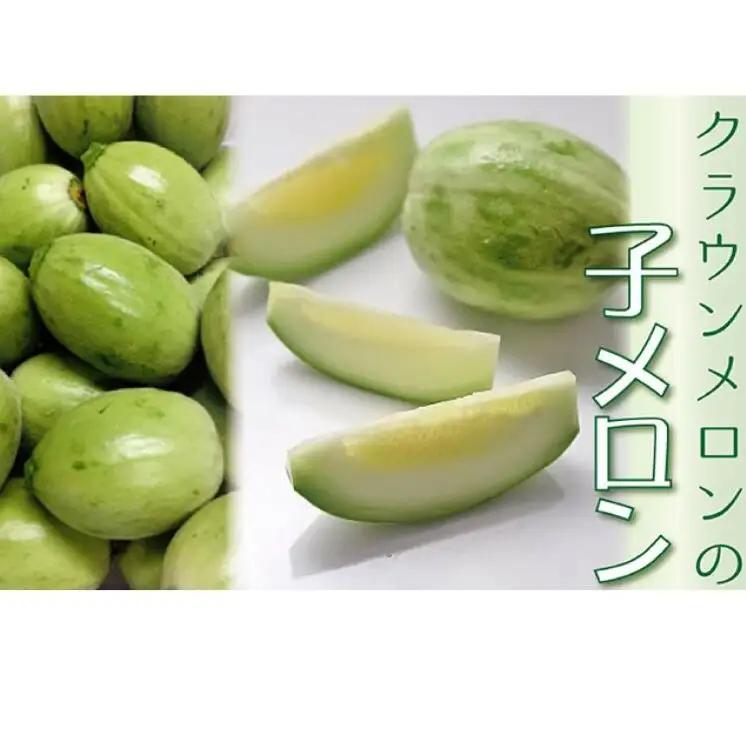 クラウンメロン 子メロン マスクメロン 青肉 クラウンメロン