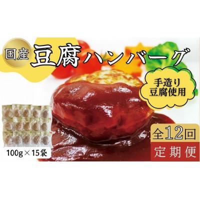 ふるさと納税 あさぎり町 【毎月定期便】豆腐ハンバーグセット(100g×15個)全12回