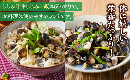 【ふるさと納税】漁師直送！宍道湖産ヤマトシジミ・冷凍2kg【1-322】