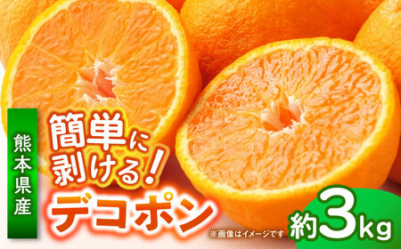 【先行予約】 デコポン　約3kg 柑橘 みかん 蜜柑 熊本 フルーツ 果物 【日本フルーツ株式会社】[ZFJ033]