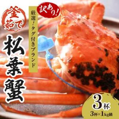 ふるさと納税 京丹後市 【訳あり!タグ付きブランド】茹で松葉かに 鮮度抜群、釜茹でにてお届け! 1kg級(足1本落ち)×3杯