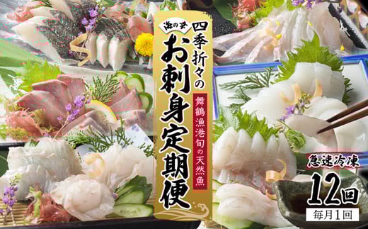 【定期便】 京都若狭の厳選 お刺身定期便 12回 ： ハタ 鰆 サワラ アオリイカ イカ 甘鯛 タイ ヒラメ ブリ 鰤 天然 海鮮 海産 魚介 シーフード 刺身 短冊 冷凍 簡単 グルメ お取り寄せ 京都 舞鶴 凡愚