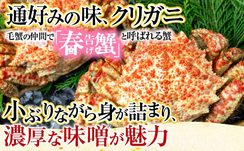 <年内配送可>【北海道根室産】花咲ガニとクリガニセット5～6尾(計1.5kg前後) A-57015